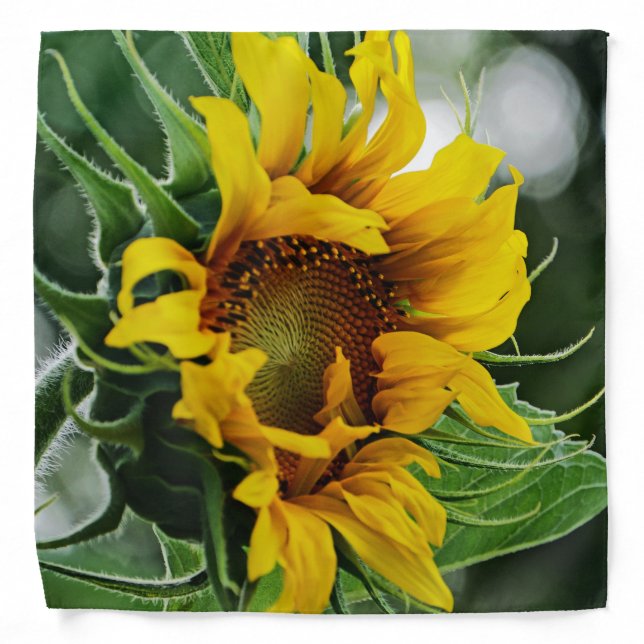 Sunflower Bandana (Front)