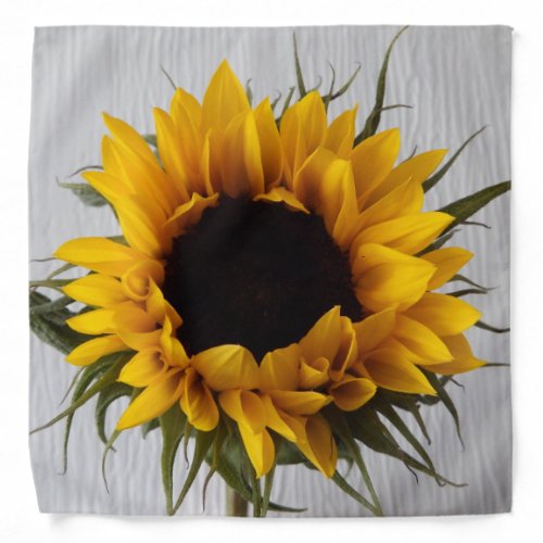 Sunflower Bandana