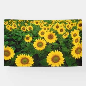 Sunflower Banner by Wonderful12345 at Zazzle