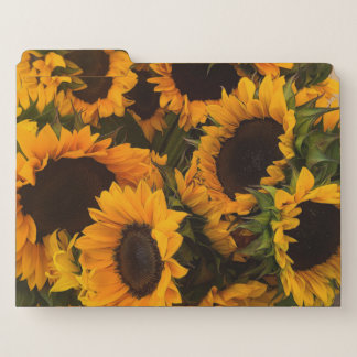 Sunflower Basket File Folder