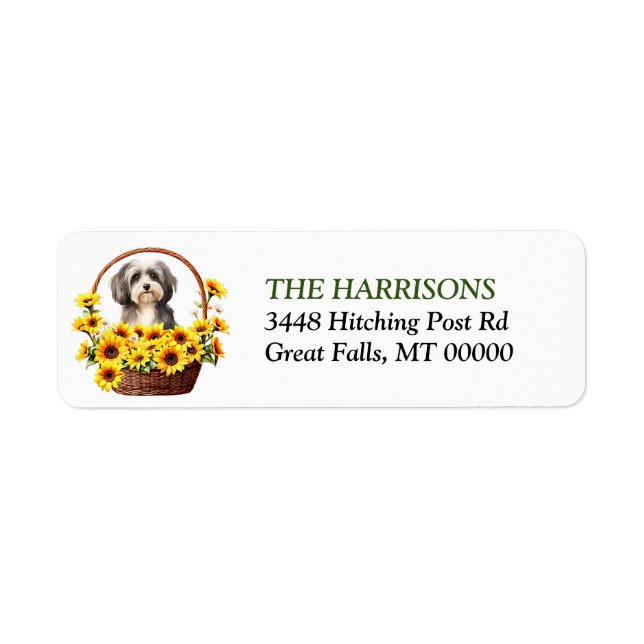 Sunflower Basket Havanese Dog Label (Front)