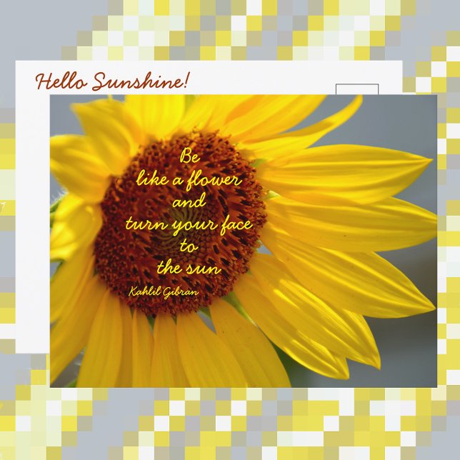 Sunflower Be Like a Flower quote Photographic Postcard (Creator Uploaded)