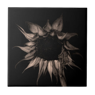 Sunflower - Beautiful Unique Cool Fine Art Tile