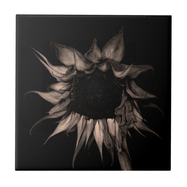 Sunflower - Beautiful Unique Cool Fine Art Tile (Front)