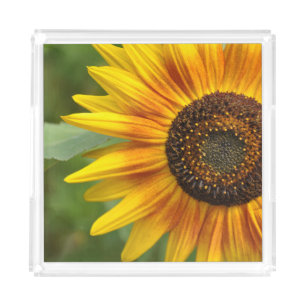 Sunflower beauty acrylic tray