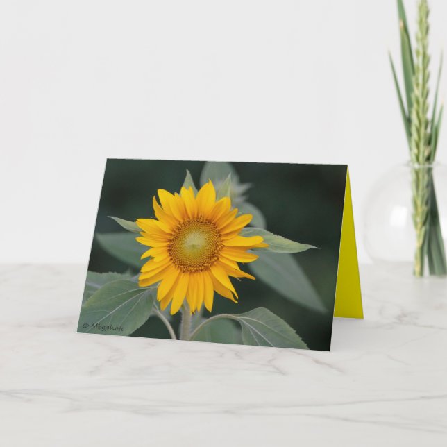 Sunflower Beauty Letterpress Thank You Card (Front)