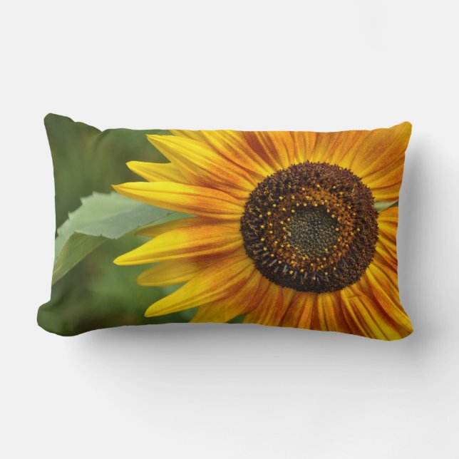 Sunflower beauty lumbar pillow (Front)