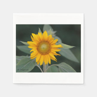 Sunflower Beauty Napkins