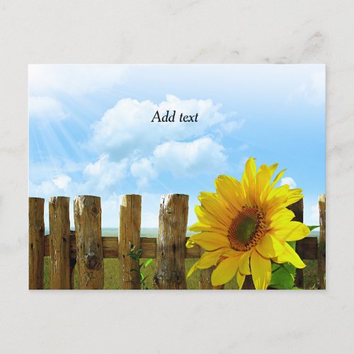 Sunflower Beauty Template Postcard