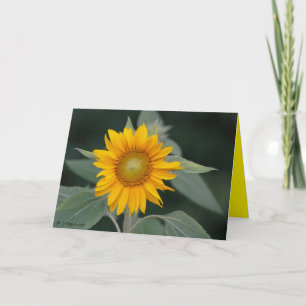 Sunflower Beauty Thank You Card