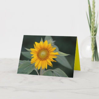 Sunflower Beauty Thank You Card