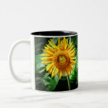 Sunflower Beauty Two-Tone Coffee Mug