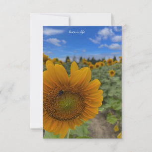 Sunflower, Bee & Blues Skies Note Card