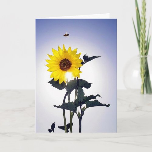 Sunflower  Bee Card