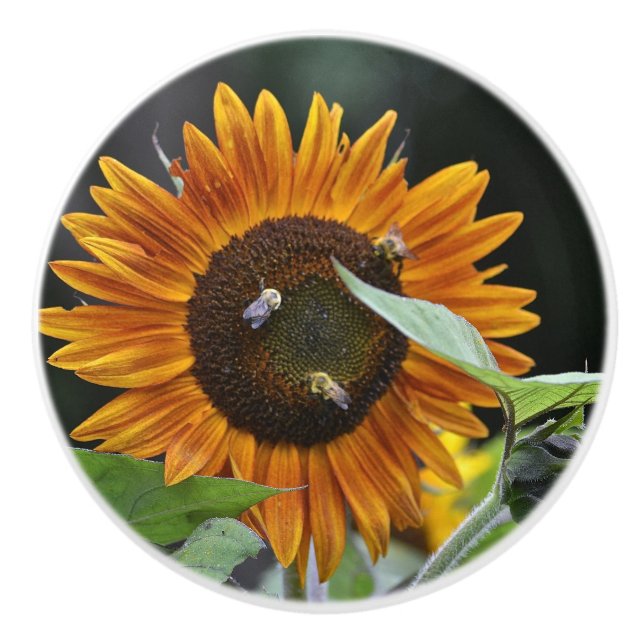 Sunflower & Bee Ceramic Knob (Front)
