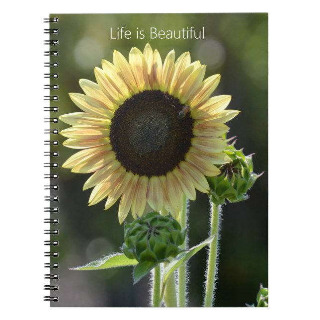 Sunflower Bee (my photography) Notebook (Front)