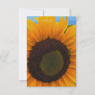 Sunflower, Bee & Sky Note Card