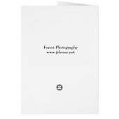 Sunflower Before Bloom (Back)