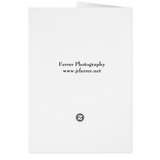 Sunflower Before Bloom (Back)