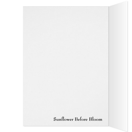 Sunflower Before Bloom (Inside (Left))