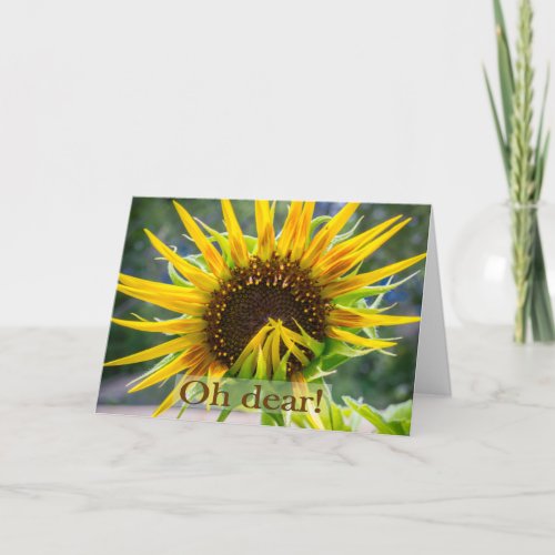 Sunflower belated birthday card