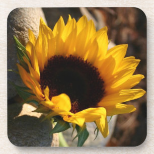 Sunflower Beverage Coaster