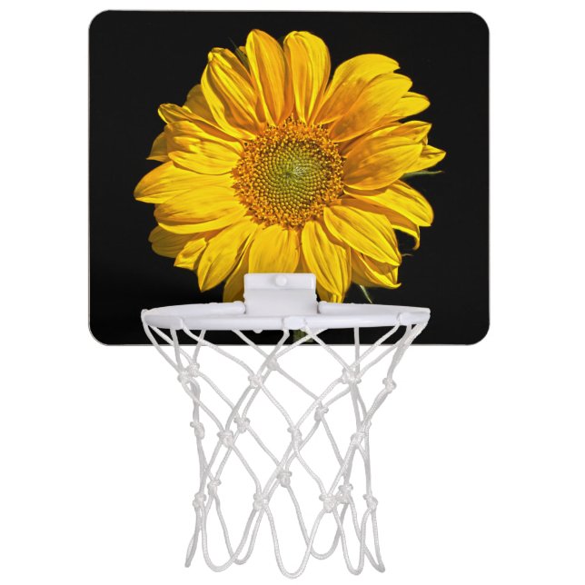 Sunflower bgcnm mini basketball hoop (Front)
