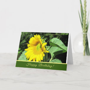 Sunflower Birthday Greeting Card