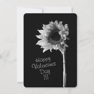 Sunflower Black and White Photograph Holiday Card