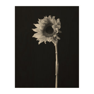 Sunflower - Black and White Photograph Wood Wall Decor