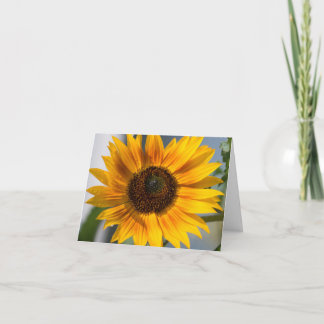 Sunflower blank card