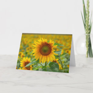 Sunflower Blank Note Card