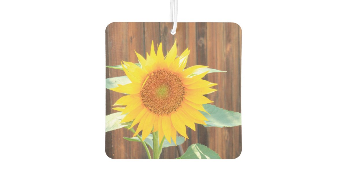 Sunflower bloom car air freshner air freshener