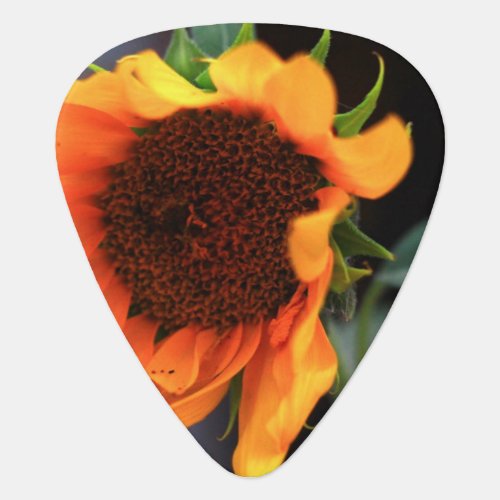 Sunflower bloom guitar pick