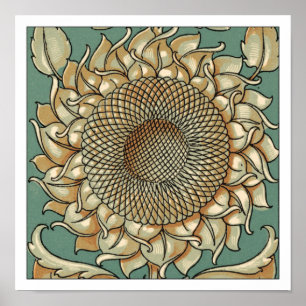 Sunflower Bloom on Blue-green Background Poster