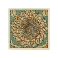 Sunflower Bloom on Blue-green Background