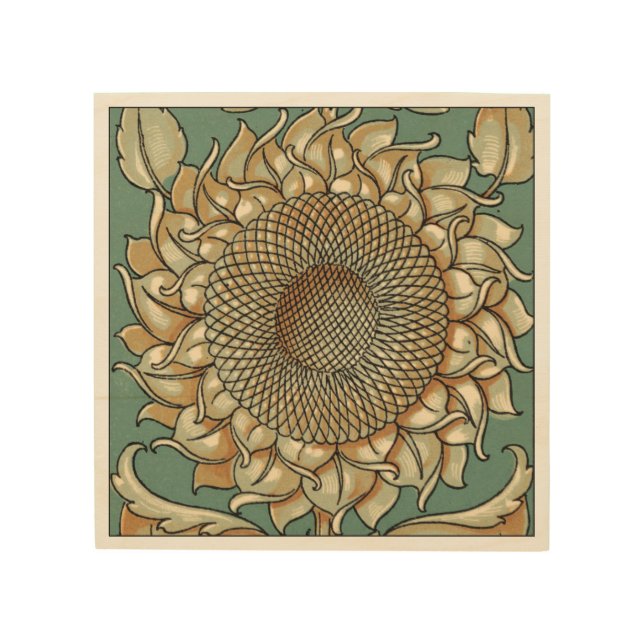 Sunflower Bloom on Blue-green Background Wood Wall Art (Front)