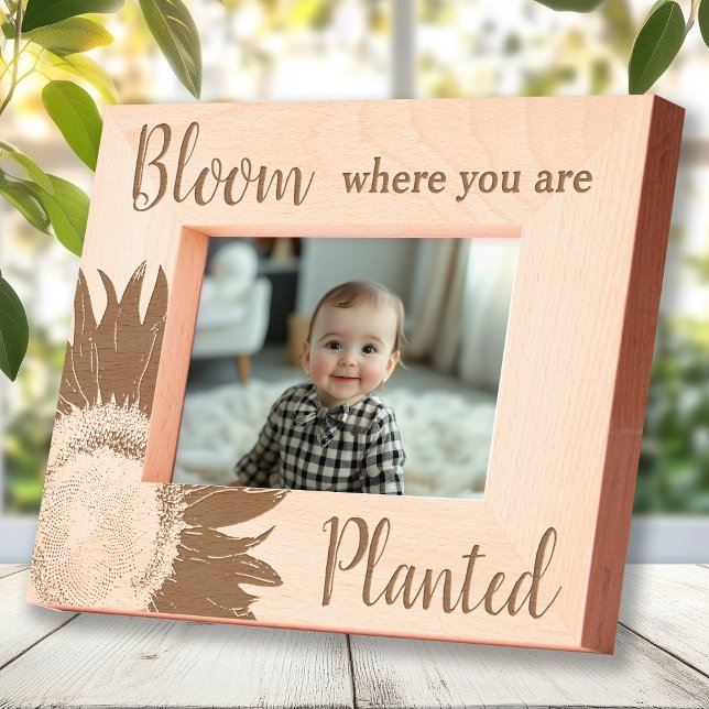 Sunflower Bloom Where You Are Planted Engraved Frames (Creator Uploaded)