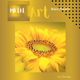 Sunflower Bloom Yellow Metal Print