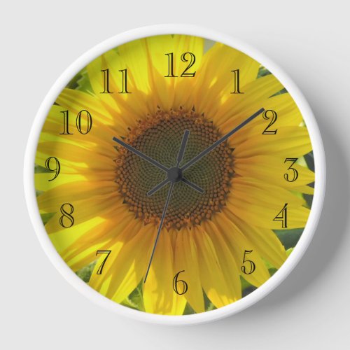 Sunflower Blossom Clock