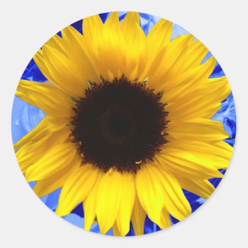Sunflower Blue Classic Round Sticker by KingdomArt at Zazzle