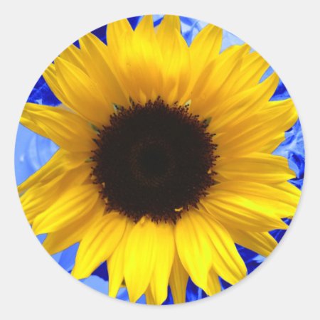 Sunflower Blue Classic Round Sticker