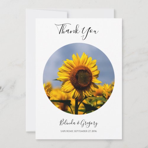 Sunflower Blue Sky Rustic Wedding Thank You Card