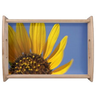 Sunflower & Blue Sky Serving Platters