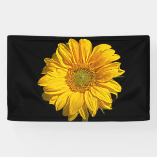 Sunflower bnrcna banner
