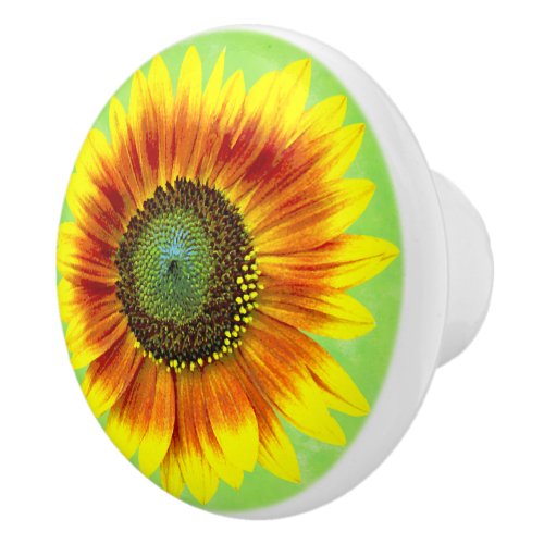 Sunflower Bold Floral Yellow and Green Flower Ceramic Knob