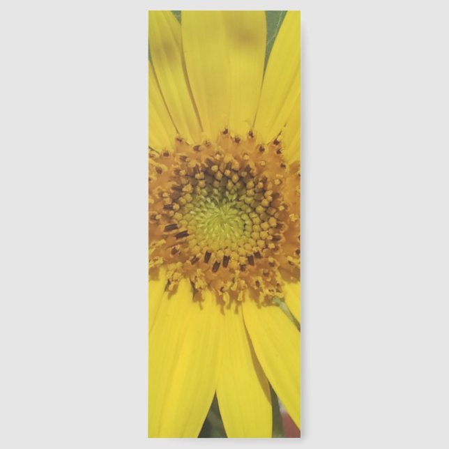 Sunflower Bookmarks (Front)
