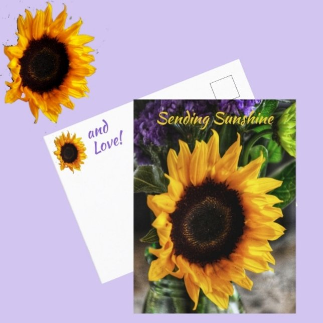 Sunflower Bouquet Botanical Photographic Floral Postcard (Creator Uploaded)