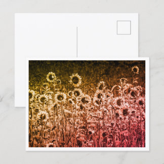 "Sunflower Brigade" Postcard