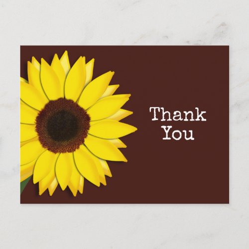 Sunflower Brown Thank You or Any Text Postcard